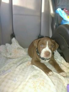 Meet your Posher, Sharon